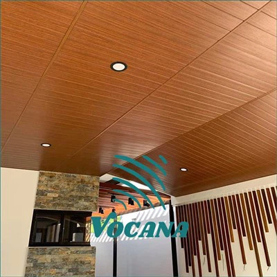 耐火性 WPC 天井パネル-